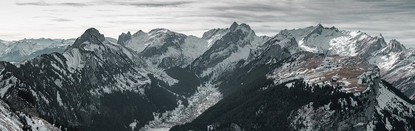 Panoramazicht op het Alpsteingebergte van Besa Art