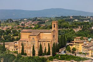 Blick auf Siena vom Torre del Mangia (Italien, Toskana) II