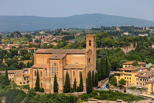 Uitzicht over Siena vanaf de Torre del Mangia (Italië, Toscane) II