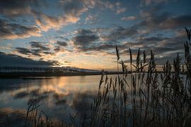 Blues by Mario de Lijser
