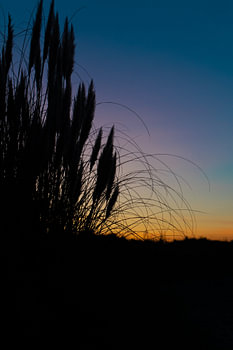 coucher de soleil