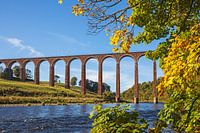 Viaduc de Leaderfoot, près de Melrose, Scottish Borders, Écosse, Royaume-Uni