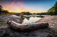 Nature reserve the Bergse Heide in Bergen op Zoom by Rick van Geel thumbnail