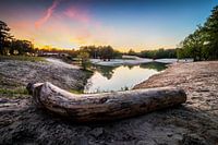 Nature reserve the Bergse Heide in Bergen op Zoom