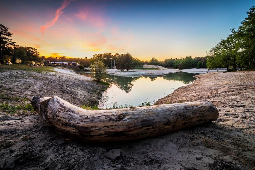 Nature reserve the Bergse Heide in Bergen op Zoom by Rick van Geel