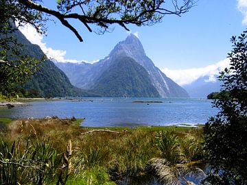 Milford Sound von Gert-Jan Siesling