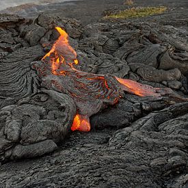 Volcanic area with red glowing lava flow on Hawaii by Ralf Lehmann