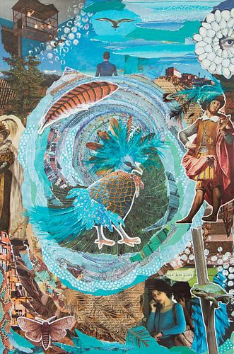 Pronken met veren ; Feathers