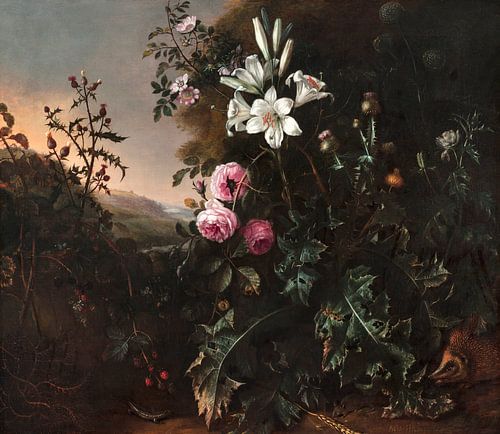 Stilleven, Matthias Withoos...