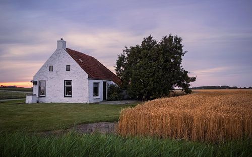 Het Brintahuisje in het korenveld
