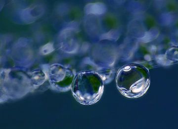 Blue Rain (Druppels in Marineblauw) van Caroline Lichthart