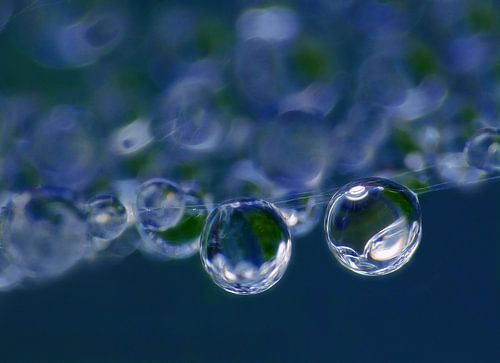 Blue Rain (Two Drops in Navy Blue)