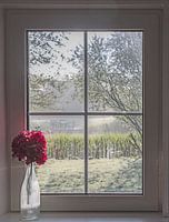 Ansicht aus dem Fenster