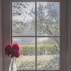 Ansicht aus dem Fenster von Ingrid Stoffels