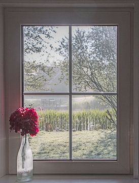 Window view van Ingrid Stoffels