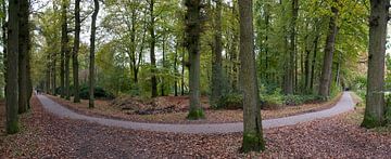 Hoevelakense Bos van Franc Wiedenhoff