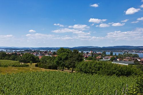 Landschaft am Bodensee