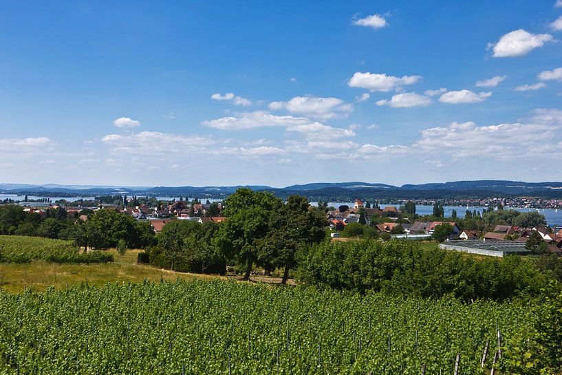 Landscape at Lake Constance by Anja B. Schäfer