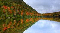 Bubble Pond, Acadia National Park, Maine van Henk Meijer Photography thumbnail