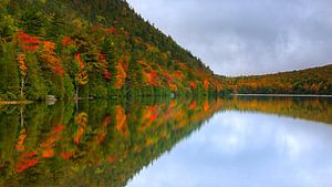Herbst am Bubble Pond, Acadia National Park, Maine