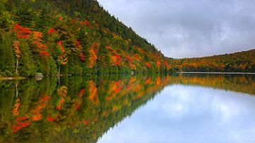 Bubble Pond, Acadia National Park, Maine van Henk Meijer Photography
