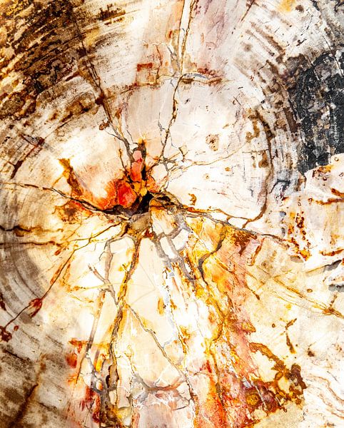 The core in earth tones by pauline smale