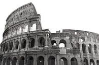 Colosseum II (Seamless White) van Joram Janssen thumbnail