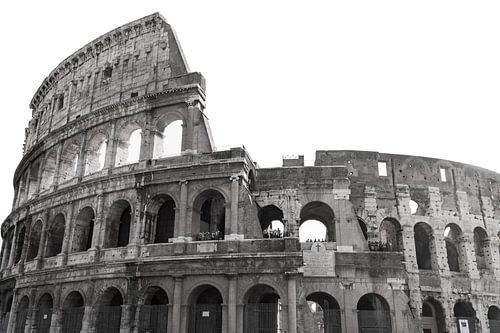 Colosseum II (Seamless White)