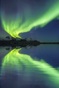 Aurora Borealis - Noorderlicht op de Lofoten van Dieter Meyrl