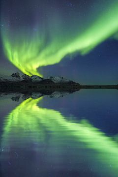 Aurora Borealis - Northern Lights on the Lofoten Islands