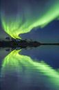Aurora Borealis - Polarlichter auf den Lofoten von Dieter Meyrl Miniaturansicht
