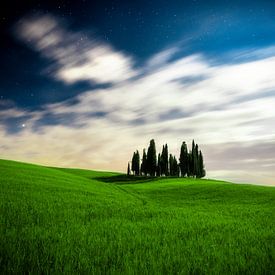 Toscaans landschap van Tim Kreike