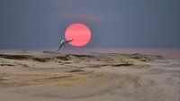 Rote Sonne
