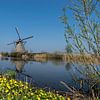 Holländische Windmühle in Kinderdijk mit schönen gelben Blumen von Patrick Verhoef