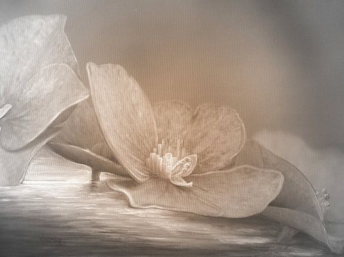 Hortensienblüte beige - Fantasielandschaft