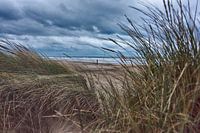 Het Hollandse Strand