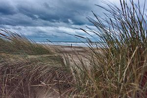 The Dutch Beach by Alex Hiemstra