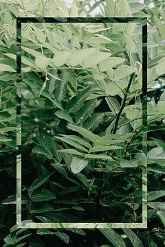 Natuur - Green Leaf van Mandy Jonen