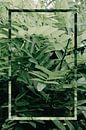 Natuur - Green Leaf van Mandy Jonen thumbnail