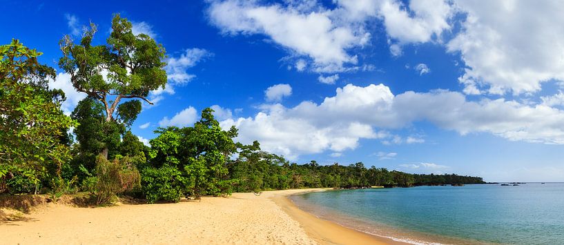Tropisch paradijs panorama von Dennis van de Water