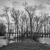 Hochwasser von jan van de ven