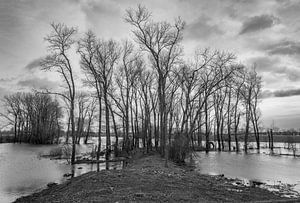 hoog water