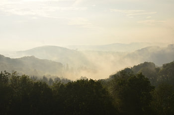 Alps in the mist