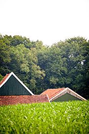 Versteckte Bauernhöfe in der Umgebung von Winterswijk (10)