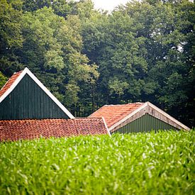 Versteckte Bauernhöfe in der Umgebung von Winterswijk (10) von André Blom Fotografie Utrecht