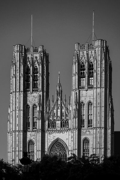 Kathedraal in Brussel von E.M Hak