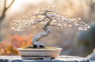 Elegant potted bonsai tree by Imperial Art House thumbnail