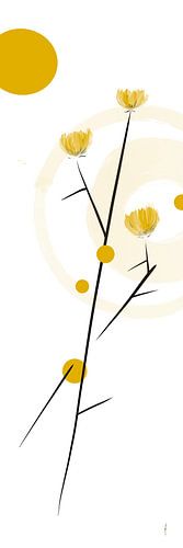 L'univers des fleurs