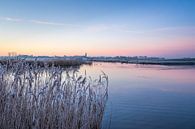 Zonsopgang op een winterse dag van Goffe Jensma thumbnail