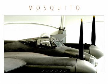 Mosquito van CoolMotions PhotoArt